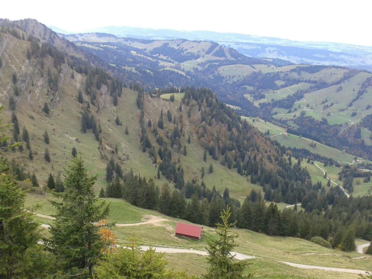 Susanne Frühstückspension Oberstaufen